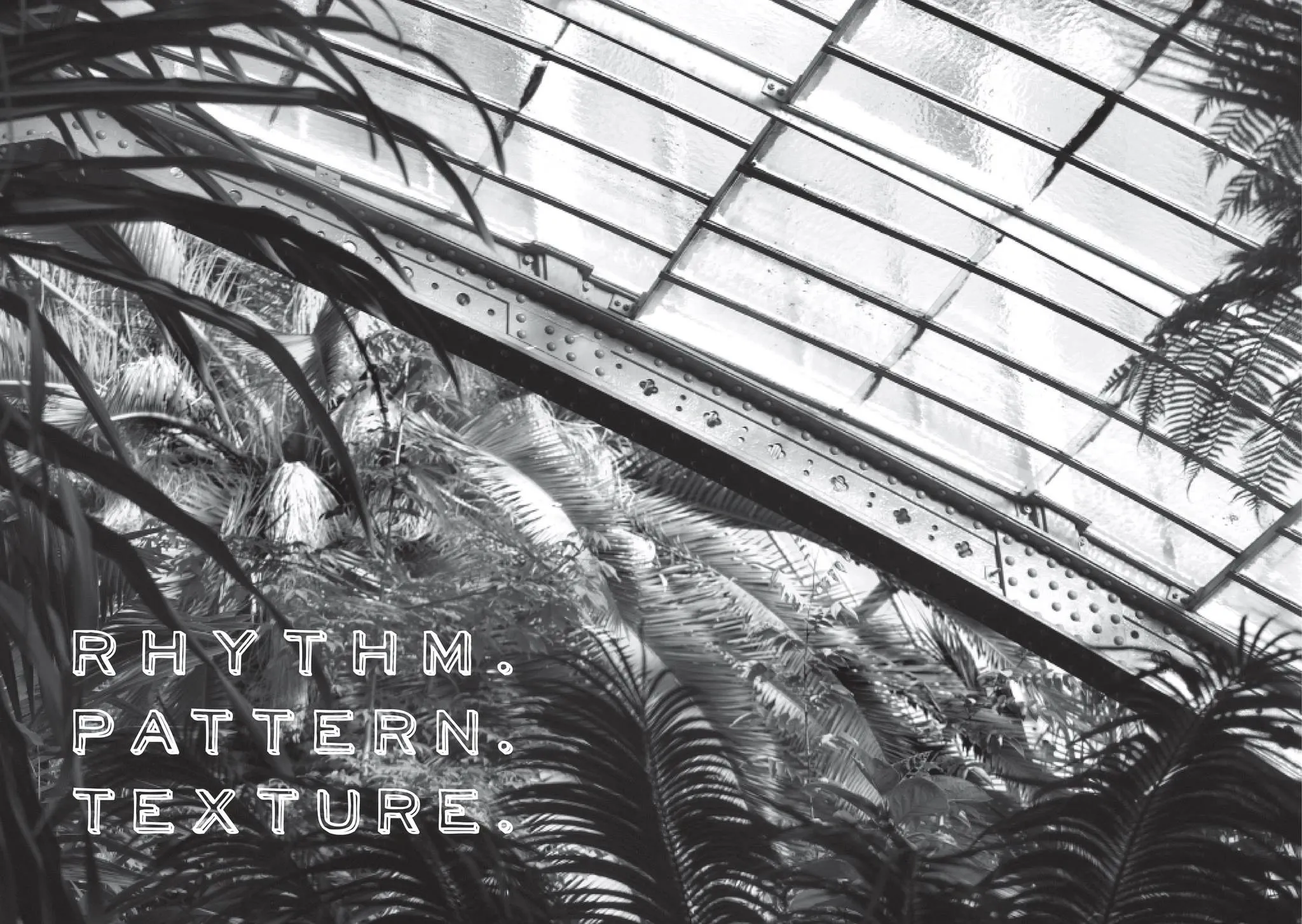 Black-and-white glasshouse with palms and the words "Rhythm. Pattern. Texture."