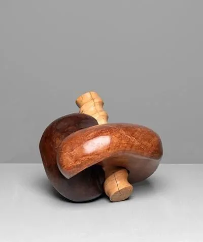 Wooden sculpture of interlocking forms on a grey background